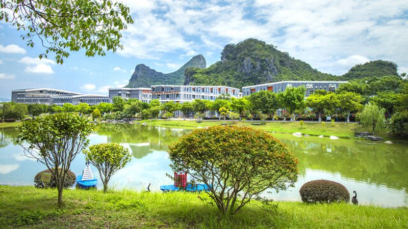 S8050三极管：揭秘华强北报价背后的技术奥秘