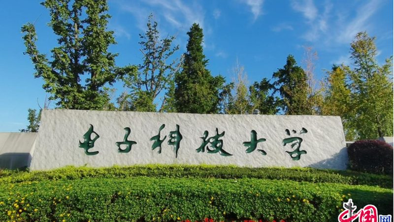 汽车电子代工质量管控：揭秘背后的标准与细节